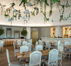 Small Party Lawns for birthday parties and office meeting